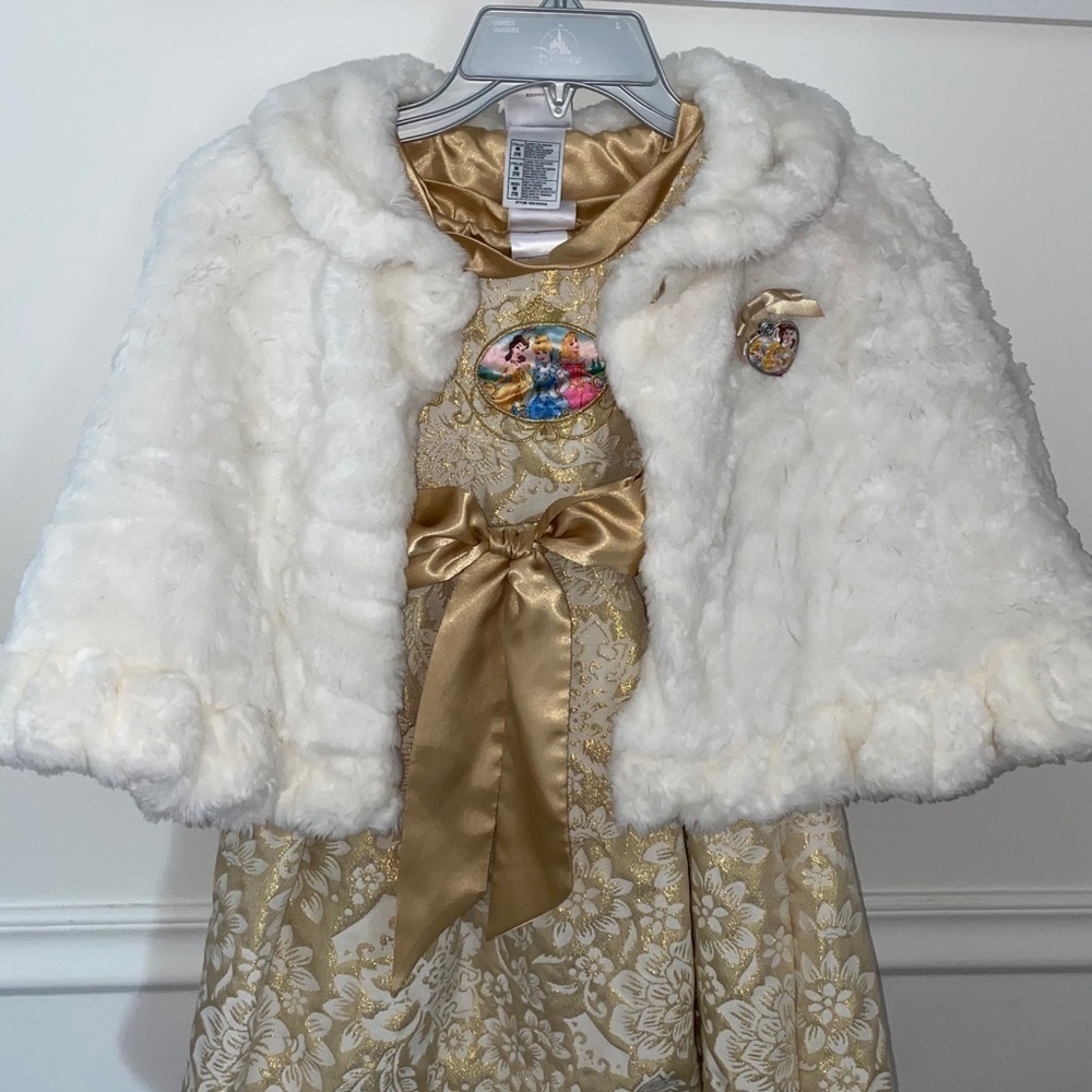 Disney exclusive princess dress